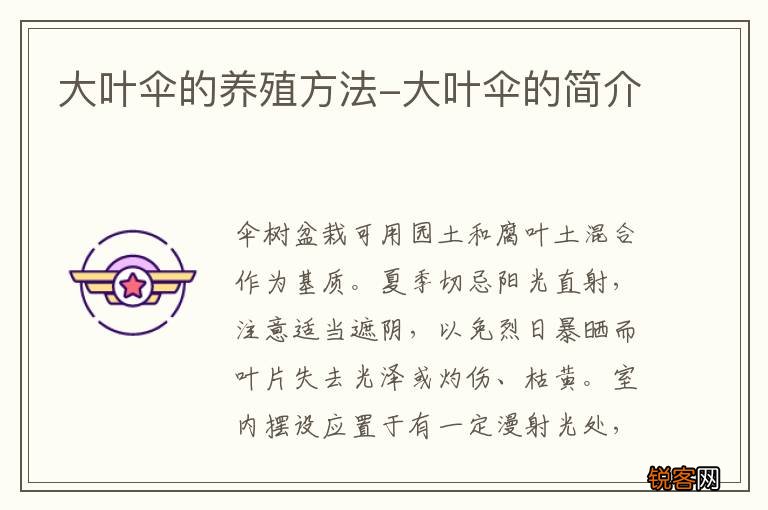 大叶伞的养殖方法-大叶伞的简介