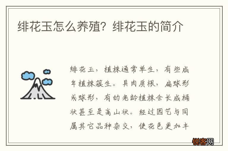 绯花玉怎么养殖？绯花玉的简介