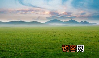 关于草的资料 有关小草的简介