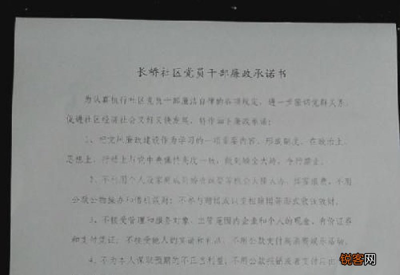 廉洁自律公开承诺书精选20篇