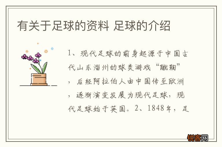 有关于足球的资料 足球的介绍