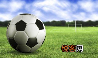 有关于足球的资料 足球的介绍