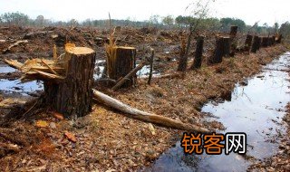 关于地球被破坏的资料 关于地球被破坏的内容