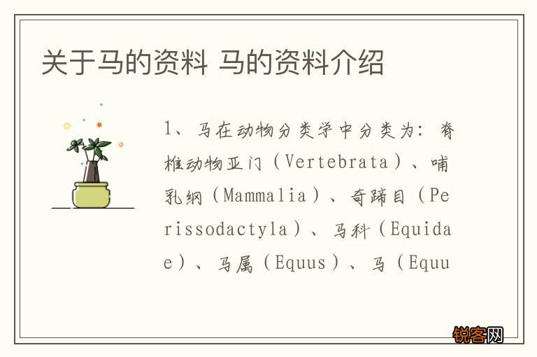 关于马的资料 马的资料介绍