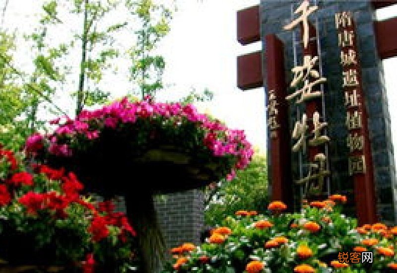 2023隋唐城遗址植物园牡丹花期什么时候？