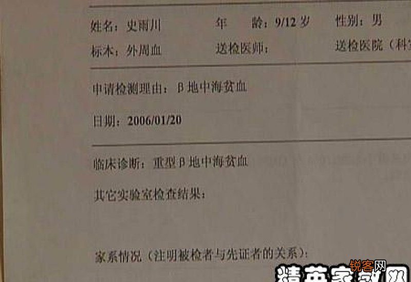 自查报告范文25篇