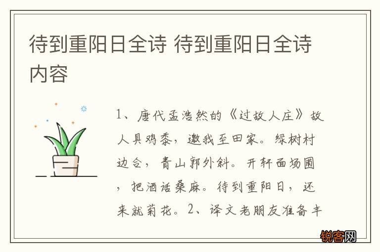 待到重阳日全诗 待到重阳日全诗内容