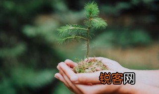 关于花草树木的资料 关于花草树木的介绍