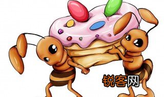 关于蚂蚁资料 关于蚂蚁资料介绍