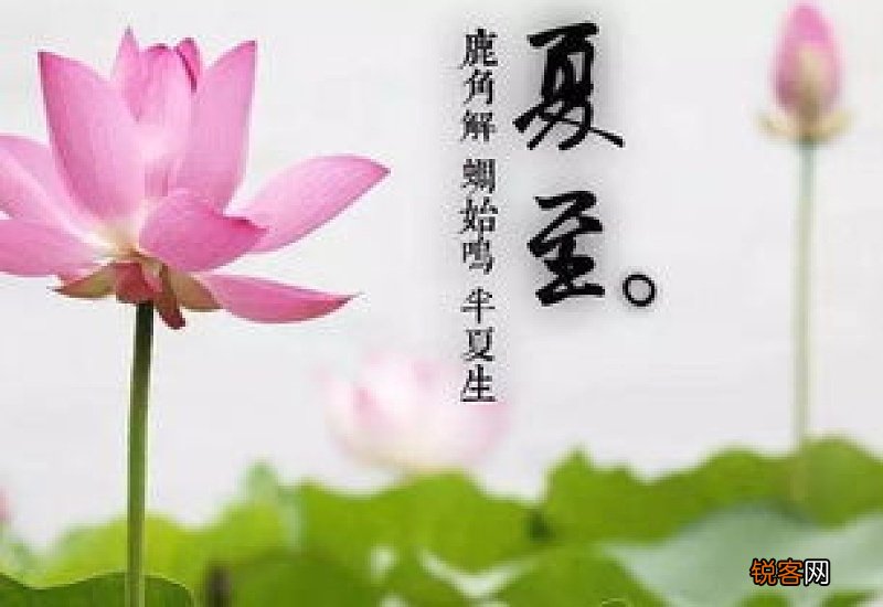 夏至怎么补身体