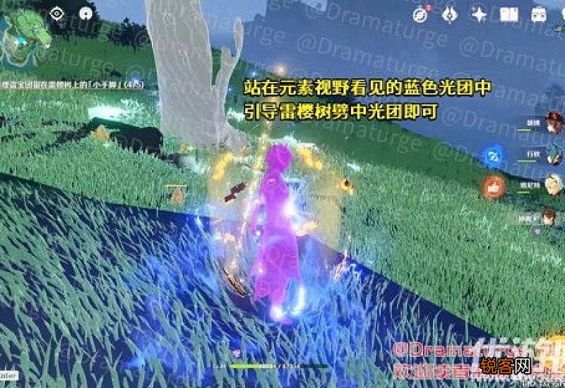 原神医樱任务攻略 原神医樱树位置在哪