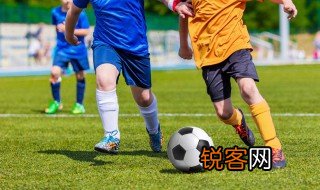 关于足球资料 足球的资料