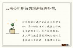云南公司用待岗规避解聘补偿，
