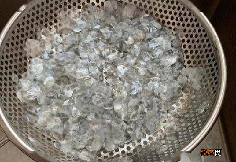 鱼鳞怎么做最有营养