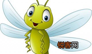 关于蜻蜓的资料介绍 蜻蜓的信息简介