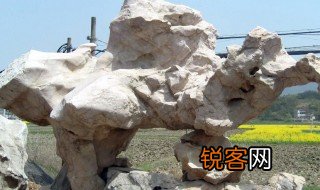 关于太湖石的资料20字 关于太湖石的介绍20字