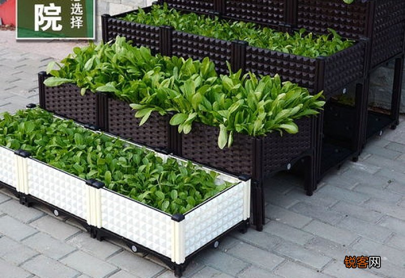 用塑料花盆种菜安全吗