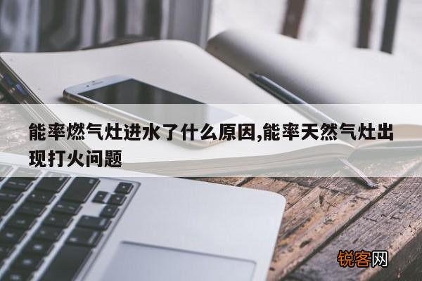 能率燃气灶进水了什么原因,能率天然气灶出现打火问题