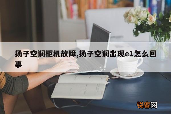 扬子空调柜机故障,扬子空调出现e1怎么回事