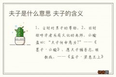 夫子是什么意思 夫子的含义