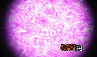凝血是什么意思 凝血简单介绍