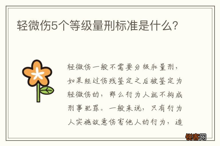 轻微伤5个等级量刑标准是什么？