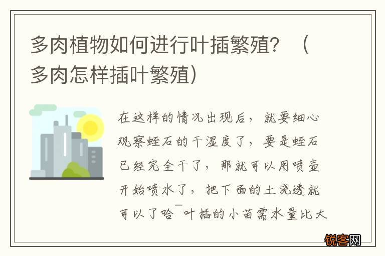 多肉怎样插叶繁殖 多肉植物如何进行叶插繁殖？