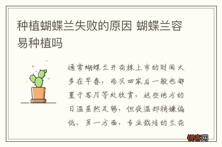 种植蝴蝶兰失败的原因 蝴蝶兰容易种植吗