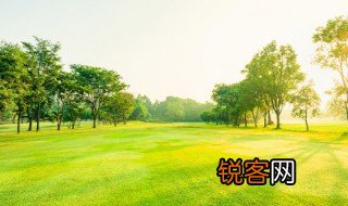 关于乡村的诗句 乡村诗句有哪些