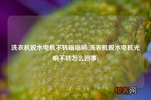 洗衣机脱水电机光响不转怎么回事 洗衣机脱水电机不转嗡嗡响