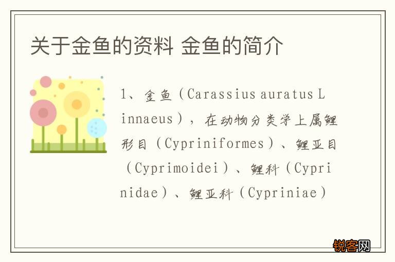 关于金鱼的资料 金鱼的简介