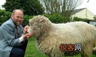 关于克隆的资料 克隆的介绍