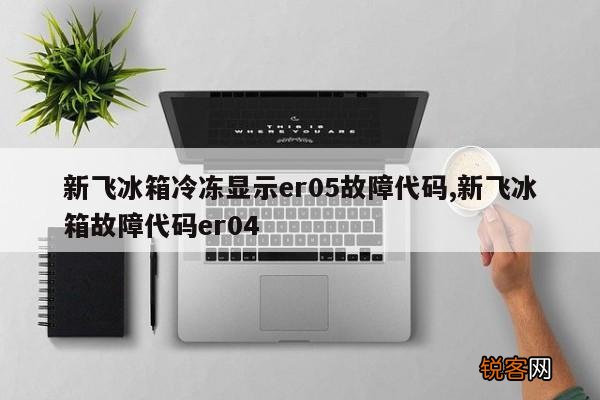 新飞冰箱冷冻显示er05故障代码,新飞冰箱故障代码er04