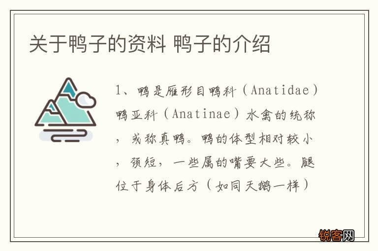 关于鸭子的资料 鸭子的介绍