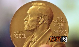 关于诺贝尔的资料 诺贝尔的介绍