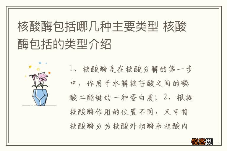 核酸酶包括哪几种主要类型 核酸酶包括的类型介绍
