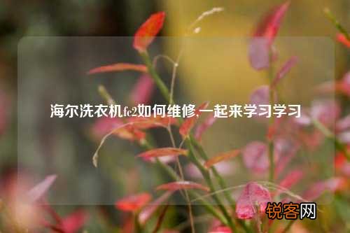 海尔洗衣机fc2如何维修,一起来学习学习