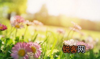 与春天有关的词语 与春天有关的词语有哪些