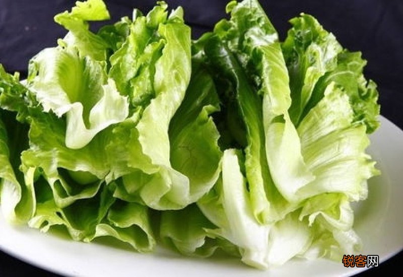 生菜的食用功效有哪些 生菜有什么作用功效