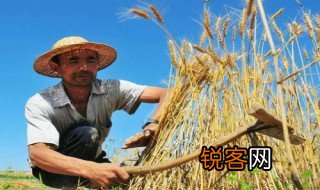 力尽不知热但惜夏日长什么意思 力尽不知热但惜夏日长出自哪里