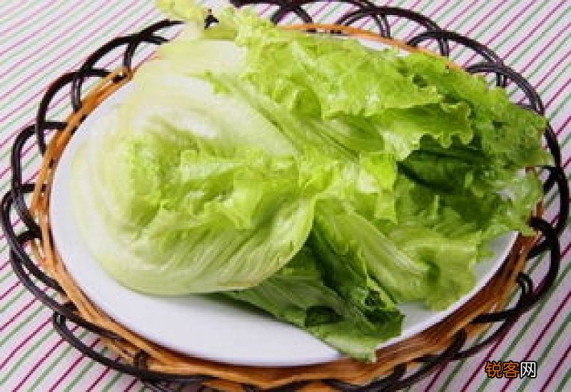 生菜营养价值有哪些 生菜具有哪些功效作用