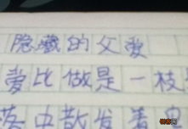 描写父爱的高中作文