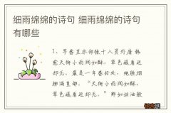 细雨绵绵的诗句 细雨绵绵的诗句有哪些