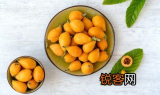 关于枇杷的诗句 枇杷的诗句有哪些
