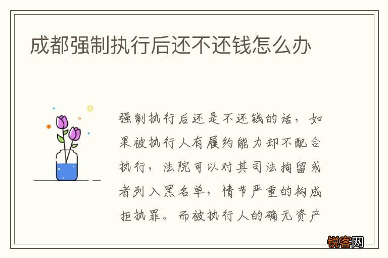 成都强制执行后还不还钱怎么办