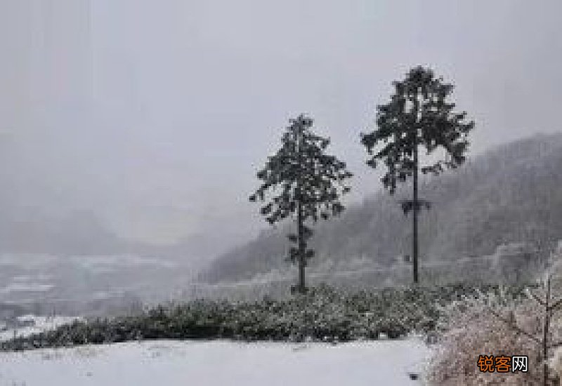 写雪的文章