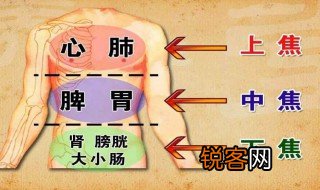 五脏六腑是什么意思 五脏六腑出自何处
