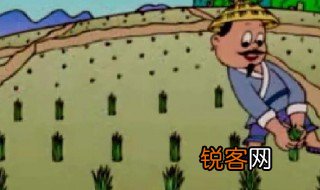 揠苗助长的故事告诉我们什么道理 揠苗助长的故事道理分享
