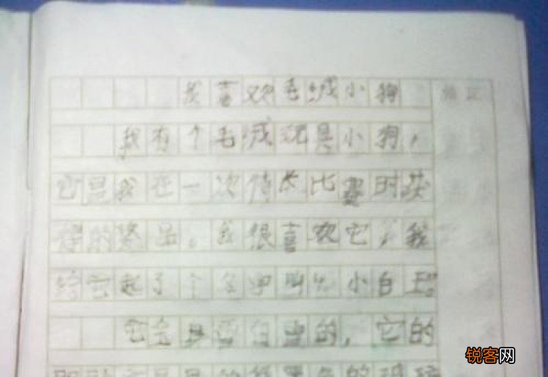 街头见闻300字作文