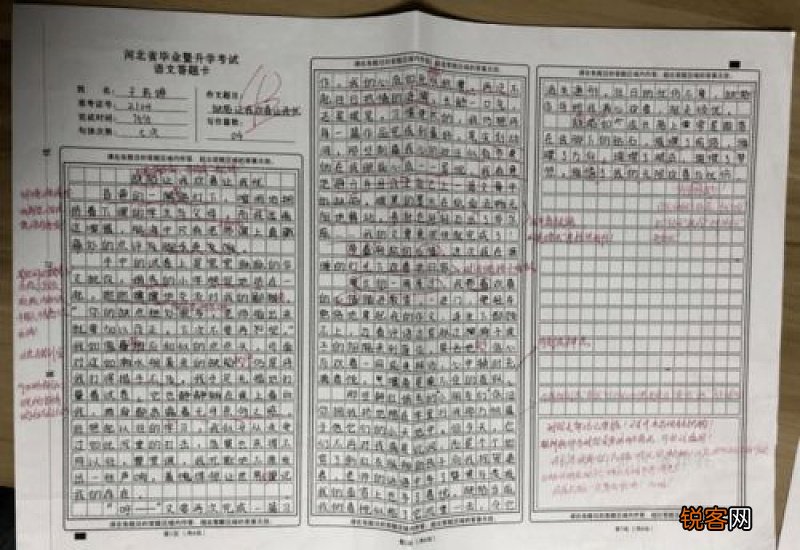 作业让我欢喜让我忧500作文